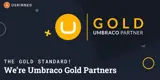 uSkinned is built by Umbraco Gold Partners.